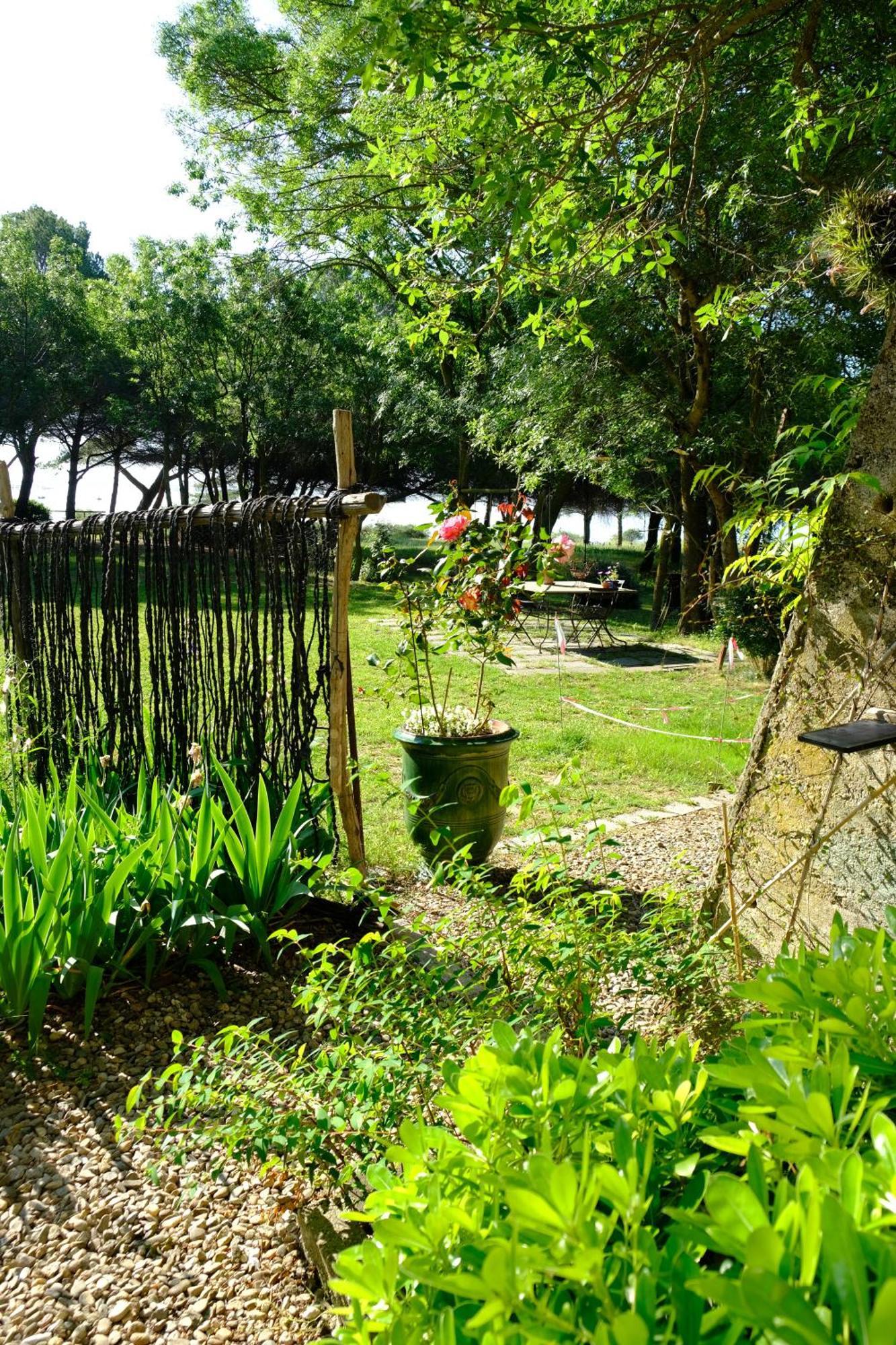 Bed and Breakfast Au Bord De Thau Marseillan  Exterior foto