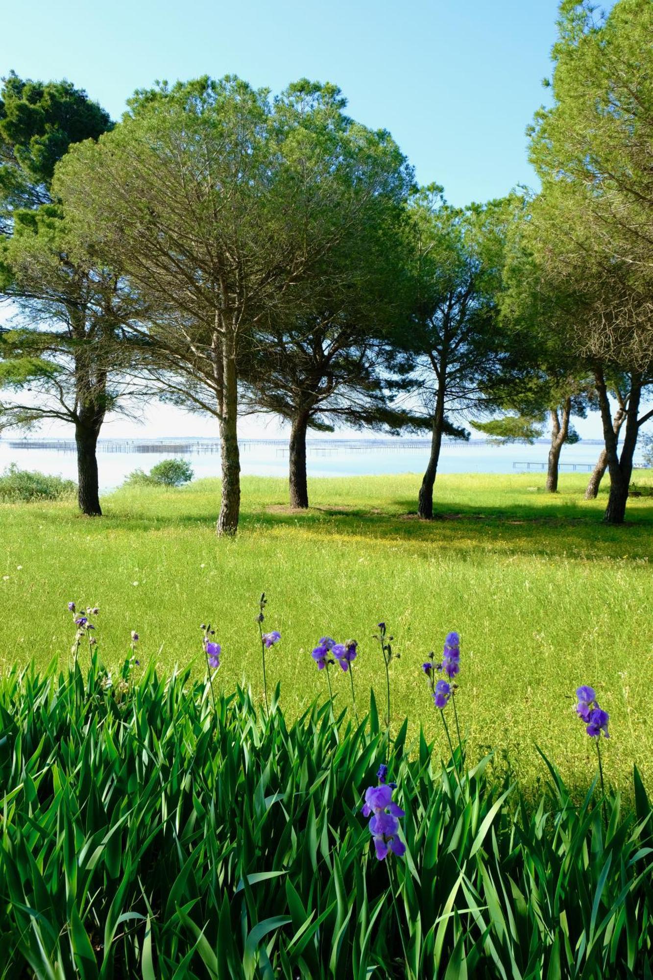 Bed and Breakfast Au Bord De Thau Marseillan  Exterior foto